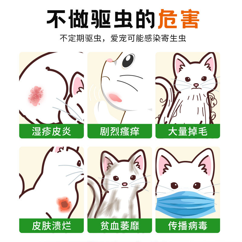 宠物驱虫
