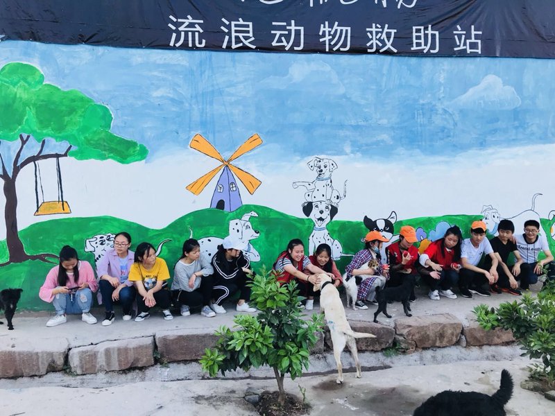 西充宠物诊所